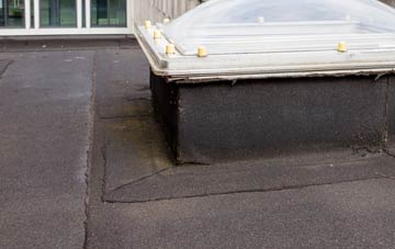 disadvantages of Drumahoe flat roofs